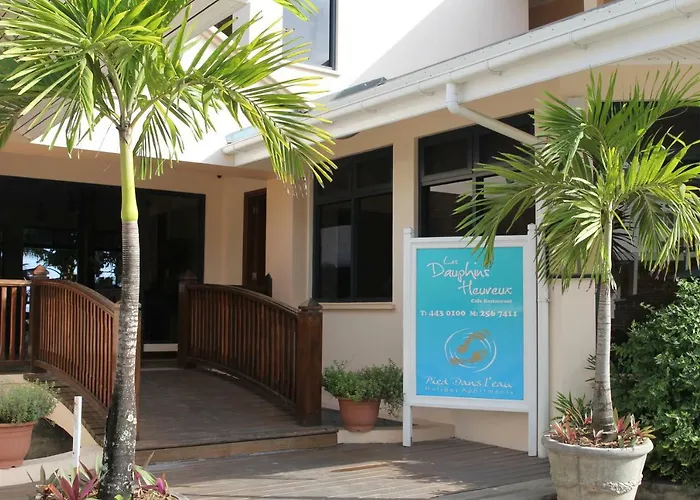 Island Cove